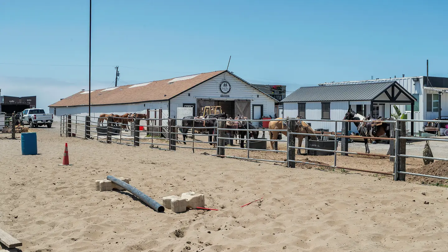 A sand arena with saddled horses at the rail and the white barn behind