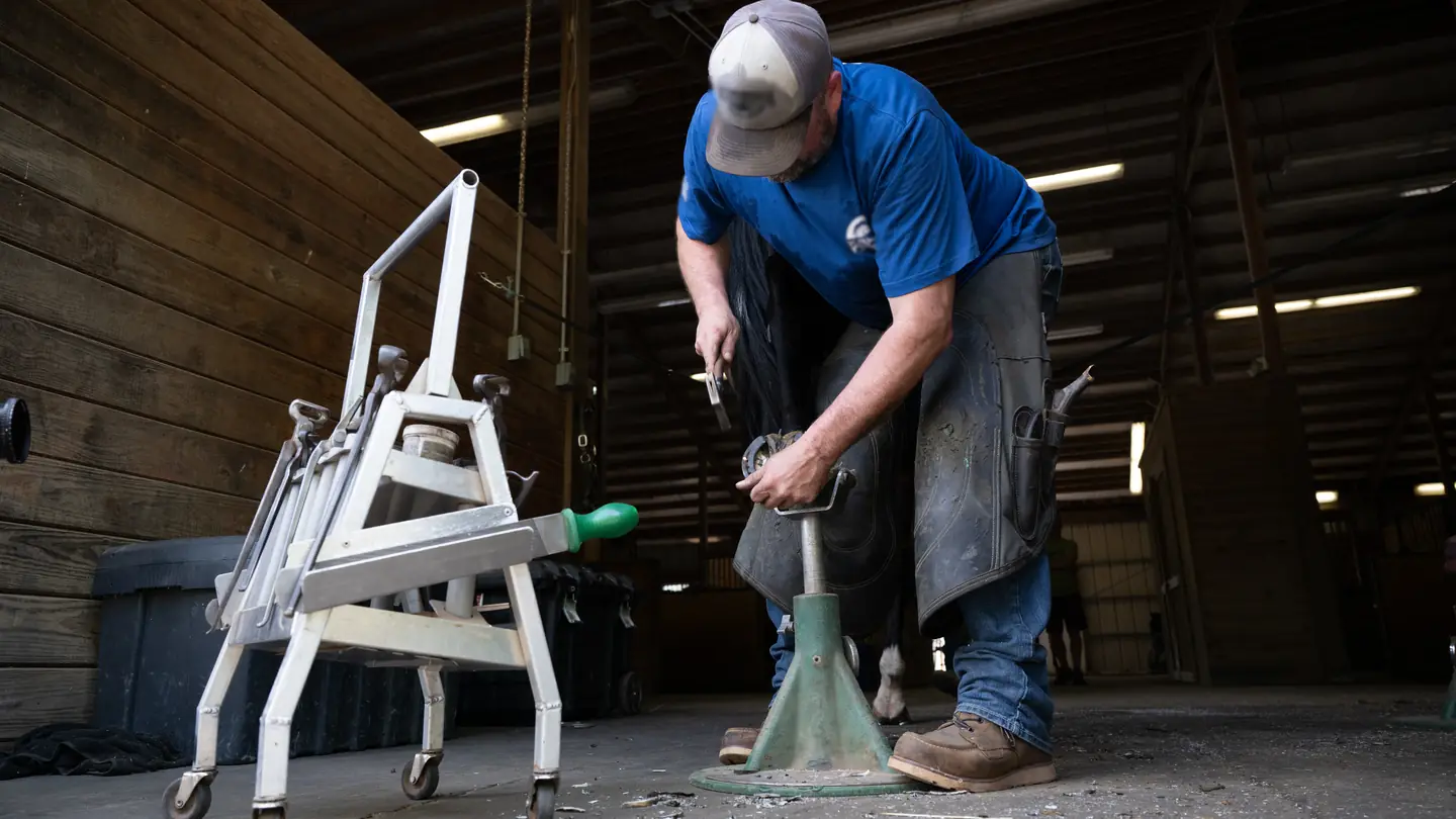 A farrier bent over a horse's hoof on a stand in a long wooden barn aisle