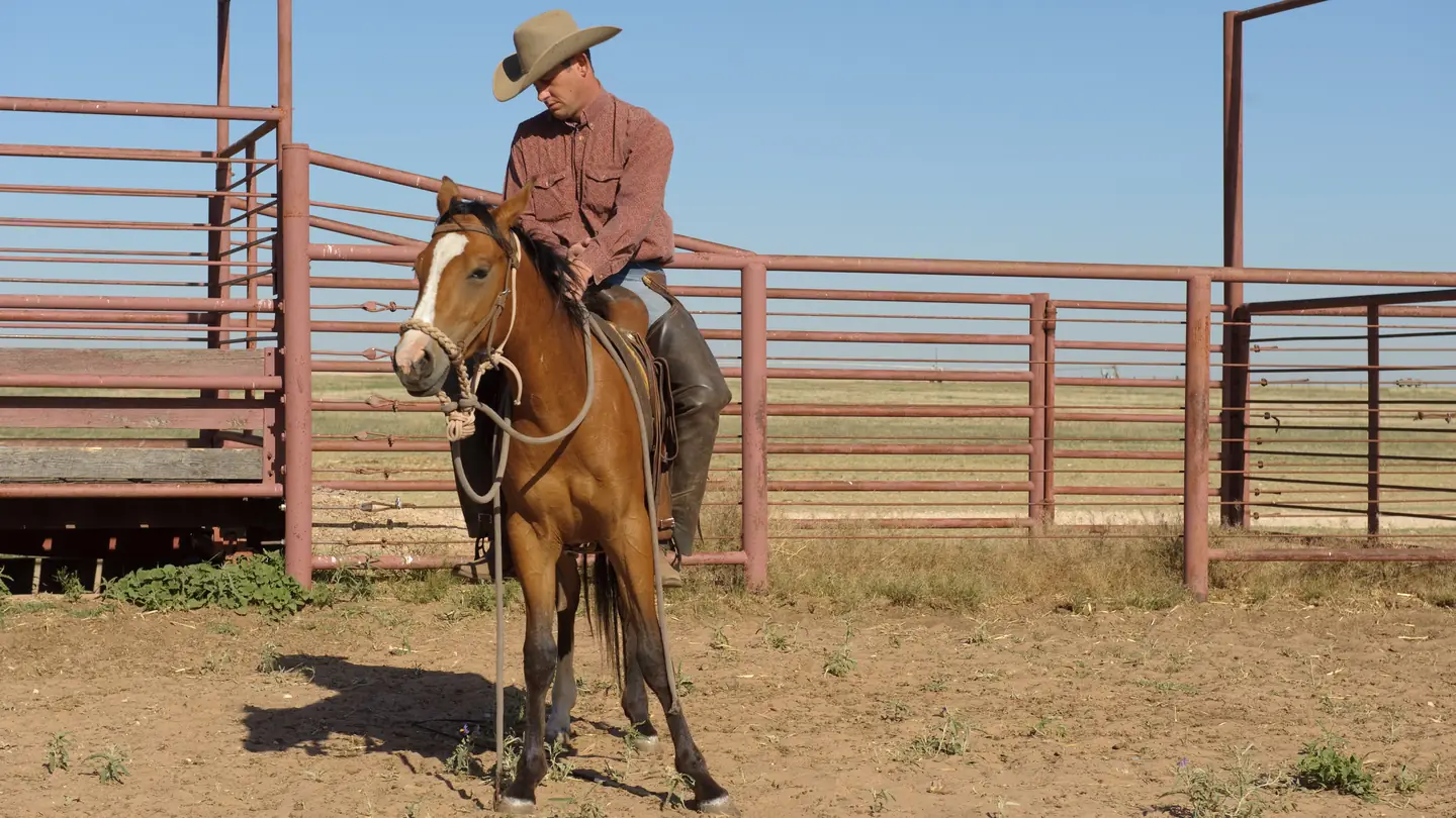 A rancher on horseback in a set of steel pipe working pens